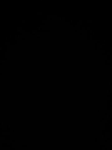 Лилия фото 2